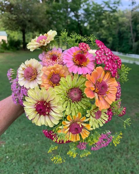 Zinnia Bouquet, Cut Flower Farm, Long Stem Flowers, Summer Flowers Garden, Zinnia Flowers, Buy Seeds, Flower Cart, Flower Farmer, Cut Flower Garden