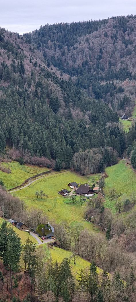 Tiny houses located in a valley in the Black forest area of Germany German Countryside, Germany Cottagecore, German Forest Aesthetic, European Forest, German Forest, Rural Germany, Germany Forest, Black Forest Germany Aesthetic, Black Forest Germany