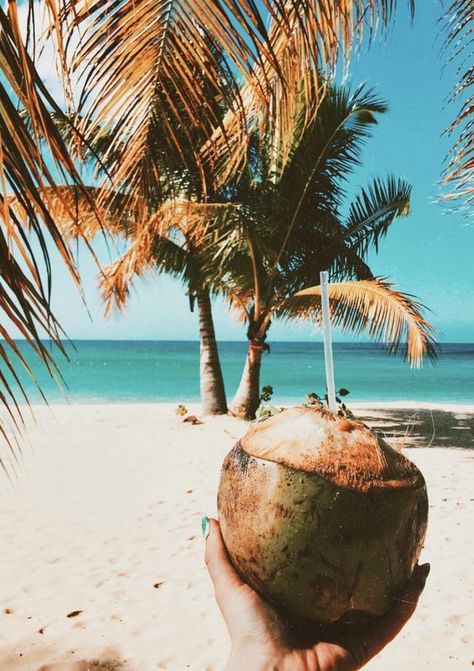 Drink coconut on the beach Tropical Beach Resorts, Summer Beach Pictures, Tropical Beach Houses, Coconut Beach, Jamaica Vacation, Beach Pink, Tropical Beaches, Big Island Hawaii, Island Vacation