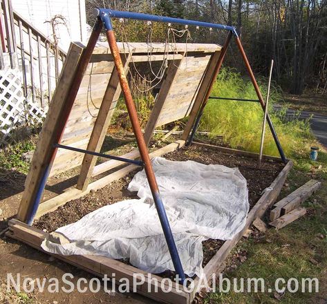 Diy Small Greenhouse, Playset Landscaping, Tiny Greenhouse, Swing Set Plans, Swing Set Diy, Winter Container Gardening, Playground Swings, Commercial Greenhouse, Diy Swing