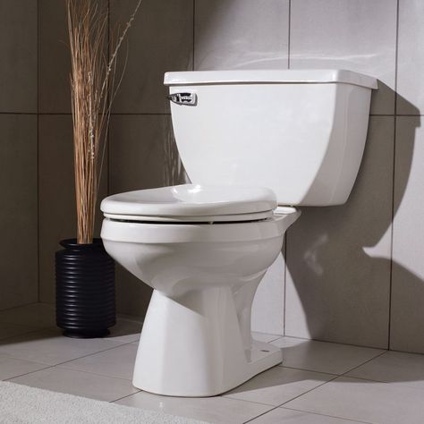 How to Choose the Best Toilet for Your Home Diy Plumbing Repair, Plumbing Hacks, Toilet Fill Valve, Leaking Toilet, House Lift, Toilet Handle, Flushable Wipes, Toilet Repair, Handyman Projects