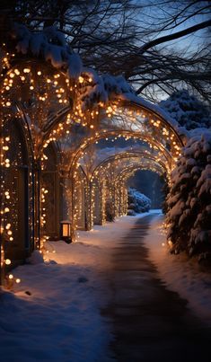 Wallpaper Backgrounds Winter Aesthetic, Winter Photography Aesthetic, Winter Background Wallpapers Holiday Wallpaper, Winter Background Wallpapers Aesthetic, Beautiful Winter Scenes Christmas, Snow Background Wallpaper, Wallpaper Snow Winter, Winter Lockscreens Aesthetic, Christmas Lockscreen Aesthetic