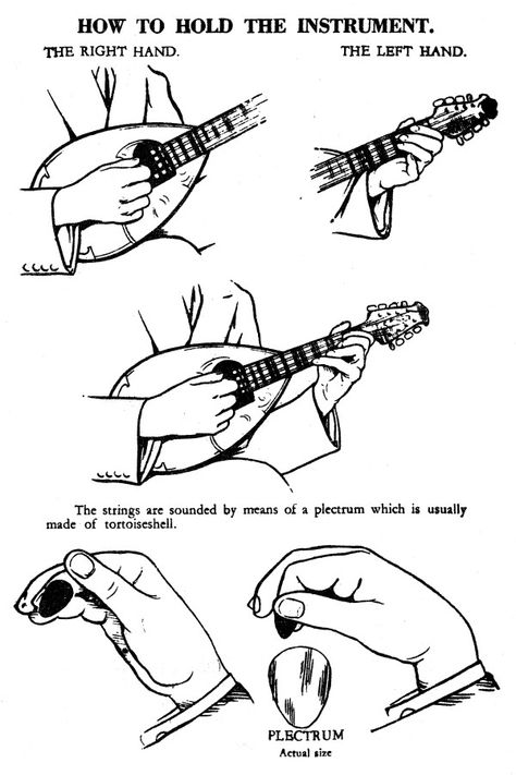 Mario de Pietro - How to hold the mandolin Learning Mandolin, Mandolin Chords, Mandolin Music, Violin Rosin, Mandolin Lessons, Cool Violins, Guitar Learning, Guitar Cord, Music Study