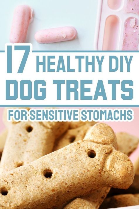 If your dog has gluten allergies or sensitivies, try one of these healthy DIY dog treats for sensitive stomachs. We share 17 easy gluten free dog treats recipes you can make at home. From frozen dog treats to baked dog biscuits, all these dog treat recipes are wheat free! Home Made Dog Treats Recipe, Gluten Free Dog Treat Recipes, Wheat Free Dog Treats, Dog Treats Recipes, Healthy Dog Biscuits, Gluten Free Dog Treats, Dog Cookie Recipes, Pet Treats Recipes, Easy Dog Treat Recipes