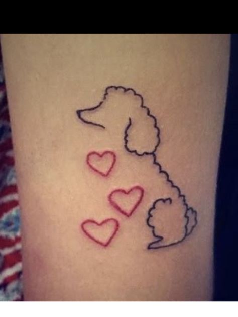 Tiny Poodle Tattoo, Mini Poodle Tattoo, Small Poodle Tattoo, Toy Poodle Tattoo, Doggie Tattoos, Poodle Tattoo Ideas, Dog Groomer Tattoo, Poodle Tattoo, Small Dog Tattoos