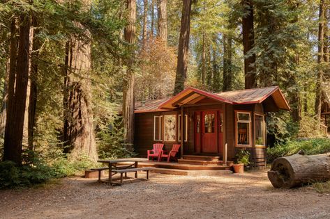 Cabin Rentals in Big Sur — Big Sur Campground & Cabins Big Sur Cabin, 2 Bedroom Cabin, A Frame Cabins, Bedroom Cabin, Camping Destinations, Cottage Rental, Lake Cabins, Manufactured Home, Cabin Rentals