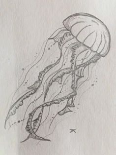 Jelly Fishes Drawing, How To Draw Realistic Jellyfish, Box Jellyfish Drawing, Jelly Fish Drawing Ideas, Jelly Fish Drawing Color, Drawing Ideas Jellyfish, Jellyfish Drawing Aesthetic, Deniz Anasi, Star Fish Drawings