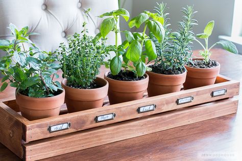 Indoor Herb Garden Diy, Herb Garden Boxes, Herb Planter Box, Herb Garden In Kitchen, نباتات منزلية, Diy Herb Garden, Kitchen Herbs, Spring Decorating, Herb Planters