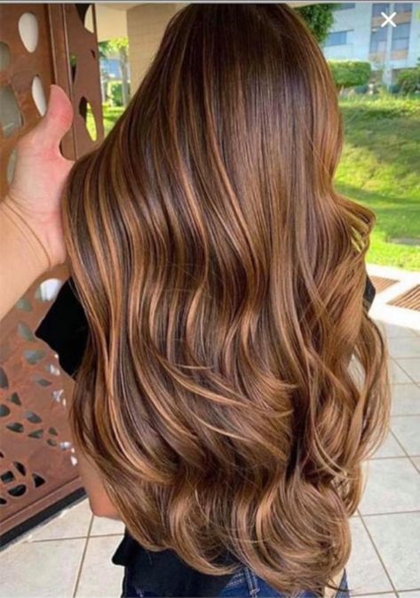 Pelo Color Caramelo, Hair Color Brown Chestnut, Chestnut Brown Hair, Rambut Brunette, Chestnut Hair, Chestnut Hair Color, Hair Color Caramel, Chocolate Brown Hair, Caramel Hair