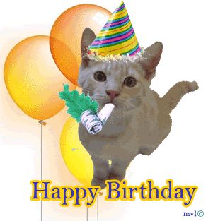 Happy Birthday Cat cat cupcake birthday happy birthday funny birthday birthday greeting birthday wishes birthday friend animated birthday birthday balloons Happy Birthday Animals Funny, Silly Happy Birthday, Cat Birthday Funny, Happy Birthday Emoji, Happy Birthday Animals, Animated Cats, Happy Birthday Cat, Birthday Cat, Happy Birthday Wishes Photos