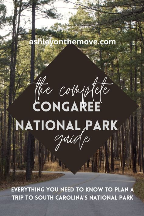 Everything you need to know to plan a trip to Congaree National Park outside of Columbia, SC! How to get there, what trails to hike, where to stay, and what to pack. Congaree National Park, East Coast Travel, East Coast Road Trip, Plan A Trip, Columbia Sc, 2025 Vision, National Parks Trip, Us National Parks, Travel Planning