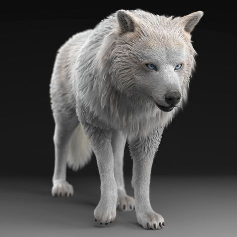 ArtStation - Wolf, noah . Wolf Deviantart, Twilight Wolf Pack, Wolf Sculpture, Twilight Wolf, Wolf Decor, Wolf 3d, Werewolf Aesthetic, Wolf Artwork, Scary Dogs