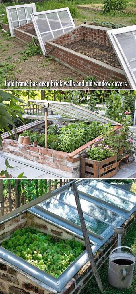 16 DIY Cold Frames to Extend Your Growing Season Cold Frame Diy, Side Yards, Flower Tower, Plants Growing, Have Inspiration, Urban Gardening, Cold Frame, Vegetable Garden Design, Inside And Outside