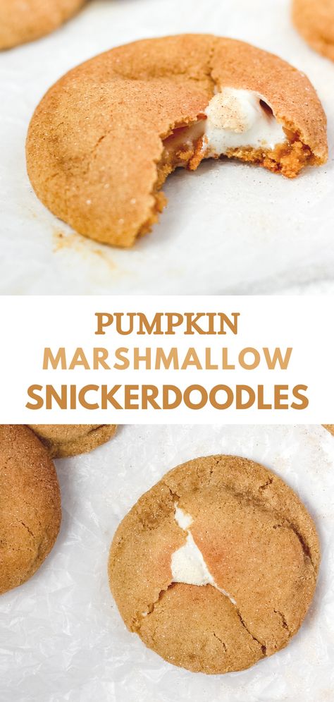 These pumpkin snickerdoodles are perfectly soft and chewy, with a gooey marshmallow filling. These cookies are easy to make and a delicious fall treat! Pumpkin And Marshmallow Recipes, Snickerdoodle Marshmallow Cookies, Pumpkin Marshmallow Recipes, Pumpkin Marshmallow Dessert, Marshmallow Filled Cookies, Marshmallow Snickerdoodle, Pumpkin Marshmallow Cookies, Mini Marshmallows Recipes, Marshmallow Pumpkin Pie