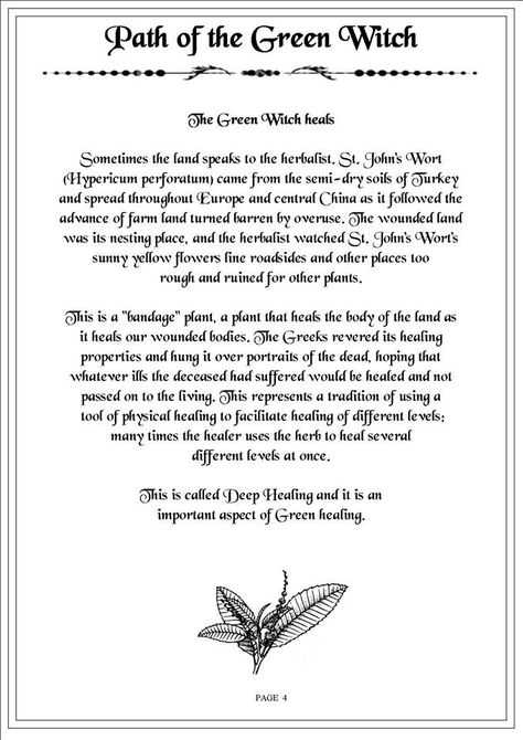 Path of the Green Witch 4 The Green Witch, Green Witchcraft, Which Witch, Hedge Witch, Wicca Witchcraft, Pagan Witch, Herbal Magic, Pagan Witchcraft, Spells Witchcraft