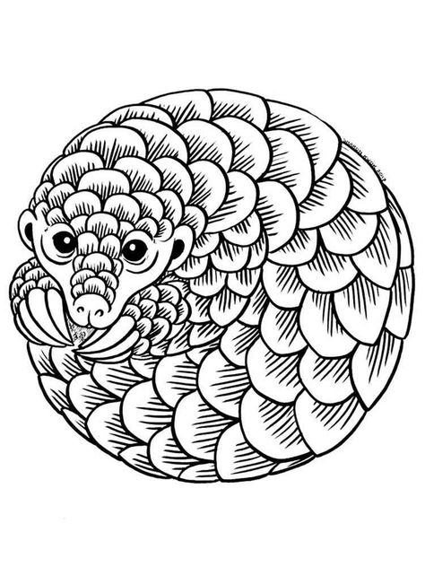 Pola Organis, Small Lizard, Small Lizards, Baby Pigs, Animal Coloring Pages, Coloring Page, Small Pets, Coloring Pages, Animals