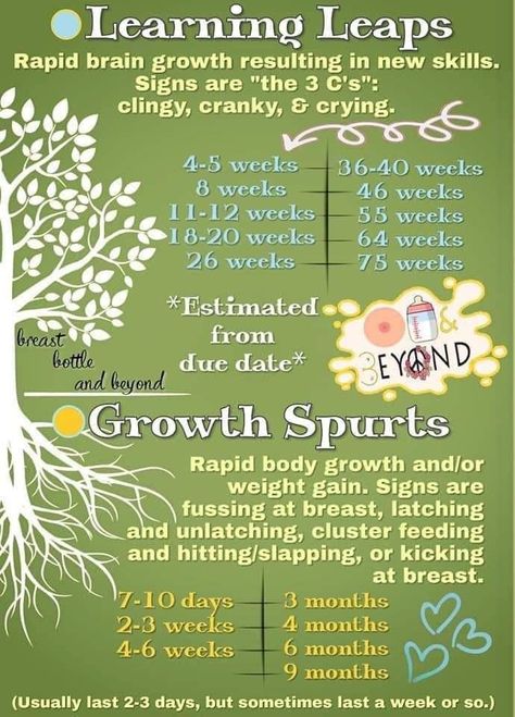 Baby Leaps, Cluster Feeding, 20 Weeks, Baby Planning, Pregnancy Birth, Baby Birth, Child Care, Weight Gain, Milestones