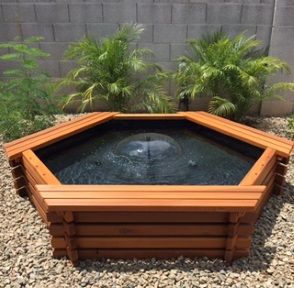 Outdoor Fish Ponds, Koi Pond Backyard, Above Ground Pond, Fish Ponds Backyard, Raised Pond, Pond Kits, Patio Pond, Goldfish Pond, Garden Pond Design