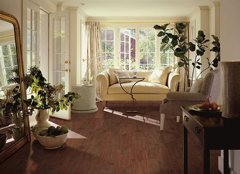 High Quality Products at Quantum Floors Birch Hardwood Floors, Red Oak Hardwood Floors, Red Oak Hardwood, Maple Hardwood Floors, Diy Wood Floors, Shaw Flooring, White Oak Hardwood Floors, Armstrong Flooring, Oak Hardwood Flooring