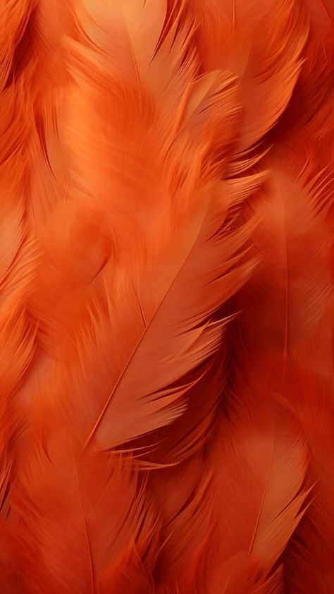 Orange Tumblr, Gold Wallpaper Phone, Feather Texture, Aesthetic Orange, Beautiful Wallpapers For Iphone, Muslim Images, Sunset Background, Story Ideas Pictures, Wallpaper Nature Flowers