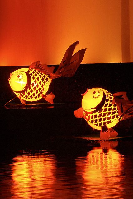 Chinese Fish Lantern, Fish Lanterns, Chinese Fish, Chinese Party, Chinese Lantern Festival, Chinese Element, Chinese Festival, Chinese Lantern, Moon Festival