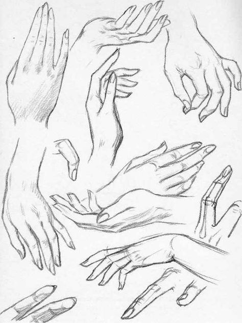 Graceful Palm The Hand Drawing Hands, Hand Drawing Reference, Human Figure Drawing, Hand Reference, Figure Sketching, Anatomy Drawing, Hand Sketch, Figure Drawing Reference, Anatomy Art