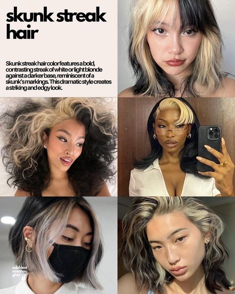 cool girl hair colours • which of these is your fav? 💌 • i think mine is the skunk streak hair 🫂 • • • • • • • • • • • • • • • • • • • • • • • • #moodboard #moodboards #moodboardaccount #moodboardaesthetic #starterpack #niche #aesthetic #aesthetics #ａｅｓｔｈｅｔｉｃ #aestheticedits #aesthetictumblr #edit #hair #coolgirl #coolgirlhair #hair #hairstyle #pinterest #pinterestinspired #pinterestgirl #pinterestaesthetic #nichememes #nichememeaccount #vintage #cute #love #instagram Skunk Curly Hair, Skunk Stripe Hair Curly, Oreo Hair Color, Skunk Hair Curly, Skunk Streak Hair, Skunk Stripe Curly Hair, Cool Girl Hair, Streak Hair, Skunk Stripe Hair