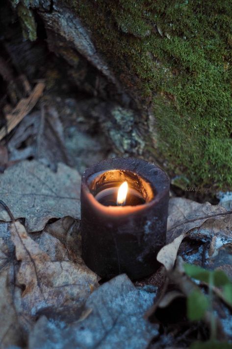 #forest #witchcraft Green Witch Photography, Irish Witch Aesthetic, Witch Moodboard, Forest Witchcraft, Woodland Goth, Forest Witch Aesthetic, Green Witch Aesthetic, Witch Energy, Character Moodboard