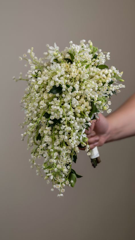 Morning Glory Wedding Bouquet, Lily Of The Valley And Peony Bouquet, Lily Of The Valley Flowers Bouquet, Jasmine Wedding Flowers, Posy Bridal Bouquet, Lily If The Valley Bouquet, Classic Wedding Bouquet Romantic, Wedding Bouquet Lily Of The Valley, Wedding Bouquets Lily Of The Valley