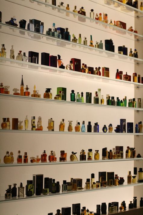 The mini-perfume bottle display at Osswald Parfumerie     Photo by Rocky Li Cologne Storage, How To Organize Perfumes On Dresser, Profumo Victoria Secret, Koleksi Parfum, Perfume Organizer, Perfume Storage, Perfume Display, Perfume Organization, Organizer Ideas