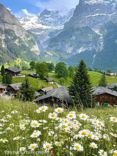 Grindelwald, Switzerland Switzerland Village, Switzerland Grindelwald, Glowworm Caves, Switzerland Nature, Grindelwald Switzerland, Switzerland Photography, Beautiful Landscape Photography, Green Country, Landscape Photography Nature