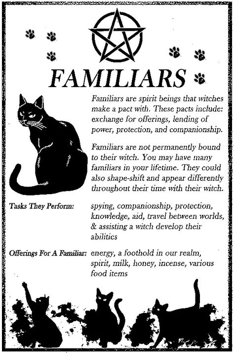 Black Cat Witchcraft, Black Cat Symbolism, Familiars Witchcraft, Cat Spiritual Meaning, Cottage Witchcraft, Witchcraft Meaning, Spirit Animal Meaning, Hoodoo Spells, Cat Spirit