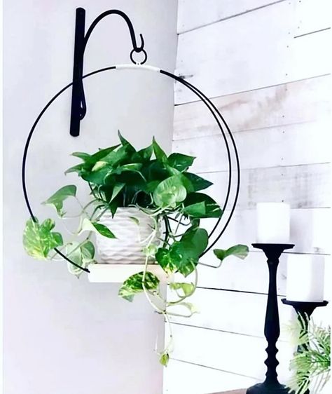 Plant Decor Hanging, Metal Plant Hangers, Plant Display Ideas, Indoor Plant Hangers, Hanging Planters Indoor, Bethlehem Pa, Hanging Plants Indoor, Plant Decor Indoor, Plant Stand Indoor