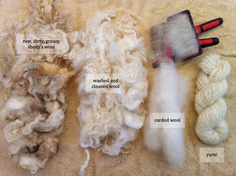 Apart from actually shearing a sheep or wooly animal (hopefully I will get to do this someday), I have officially worked through the entire fleece to yarn process! Recently I was given a bag of raw… Leicester, Art, Fibre Art, Fiber Arts, Yarn Dyeing, Different Types, Fiber Art, Yarn, Wool