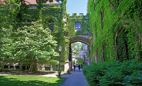 The 11 most beautiful college campuses in the US | college student, college design, studying, art, organization, schools, campus, ideas, education, learning, growth, design, architecture Fantasy College Campus, Beautiful College Campus, Pretty College Campus, Pretty Colleges, Aesthetic Colleges, College Campus Aesthetic, Book Imagination, Growth Design, Aesthetic Usa