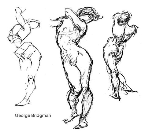 George Bridgman, Cottagecore Wallpaper, Drawing Practice, Illustration Character Design, Art Tips, Drawing Tips, Pose Reference, Art Tutorials, Art Sketches