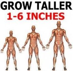 Tips To Increase Height, Growing Taller, How To Get Tall, Get Taller Exercises, Grow Taller Exercises, Height Exercise, Taller Exercises, Increase Height Exercise, Height Growth