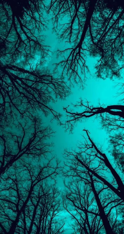 Dark Turquoise Aesthetic, Turquoise Aesthetics, Turquoise Pictures, Aesthetic Green Wallpaper, Teal Aesthetic, Turquoise Highlights, Turquoise Aesthetic, Cyan Colour, Dark Cyan