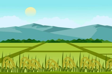 Beautiful rice and paddy fields landscape with mountains vector illustration. A view of a peaceful village. Rice Field Illustration, Village Vector, Tats Ideas, Landscape With Mountains, Kerala House, Kerala Houses, Art Poster Design, Landscape Illustration, Mural Painting