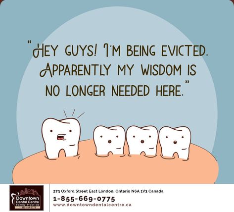 Surgeon Quotes, Impacted Wisdom Teeth, Wisdom Teeth Funny, Teeth Humor, Wisdom Teeth Removal, Dental Facts, Oral Surgeon, Dental Marketing, Work Quotes Funny