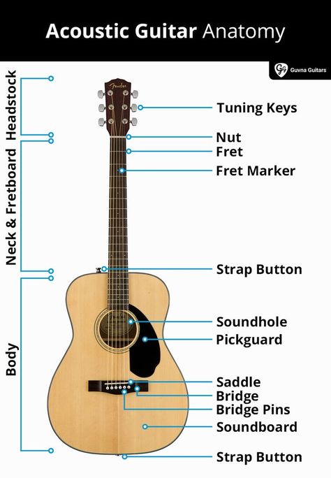 Acoustic Guitar Anatomy (parts of an acoustic guitar) Guitar Acoustic Design, Guitar Parts Name, Guitar Designs Acoustic, Acoustic Guitar Design, Guitar Anatomy, Anatomy Diagrams, Acoustic Guitar Parts, Guitar Setup, Guitar Sketch