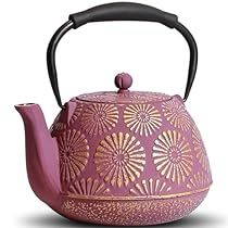 Tea Pot Aesthetic, Pot Aesthetic, Japanese Tea Pot, Sakura Design, Cast Iron Teapot, Iron Teapot, Electric Furnace, Gas Stove Top, Coffee Server