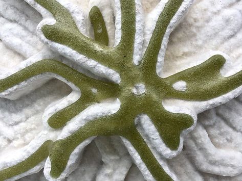 bioMATTERS crafts tiles by 3D printing mycelium, algae, and waste Microscopic Algae, Ecology Design, Aztec Culture, Material Research, Interior Tiles, Modular Kitchen Designs, Printed Tile, Zaha Hadid, Photosynthesis