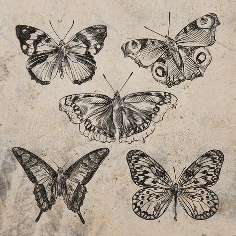 🖼️ Endless Possibilities: Use these digital files for a wide range of creative projects, including home decor, stationery, digital art, and more. Let your imagination take flight! 🌟 Versatile Options: Whether you're looking for a single butterfly sketch or the entire collection, these files are available both individually and as a set. Mix and match to suit your artistic needs. 🎨 Transparent Designs: For added versatility, transparent versions of these sketches are also included in this listi Vintage Butterfly Drawing, Vintage Butterfly Aesthetic, Vintage Drawing Sketches, Butterfly Aesthetic Vintage, Butterfly Etching, Sketches Butterfly, Beautiful Butterfly Drawing, Butterfly Draw, Sketch Butterfly