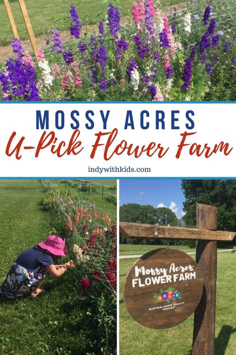 Mossy Acres Flower Farm | U-Pick Flower Farm Flower Farming Business, U Pick Farm Ideas, Pick Your Own Flowers, You Pick Flower Farm Layout, U Pick Flower Farm Ideas, Pick Your Own Flowers Farms, How To Start A Flower Farm, U Pick Flower Farm, You Pick Flower Farm