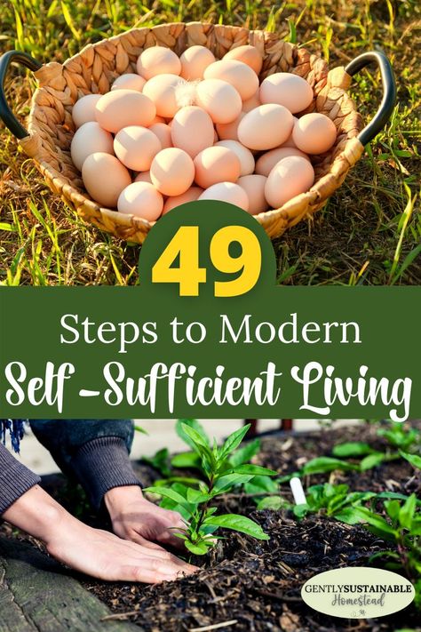 Self Sufficient Homestead, Homesteading Diy, Homestead Farm, Homesteading Skills, Self Sufficient, Homestead Living, Urban Homesteading, Mini Farm, Living Off The Land