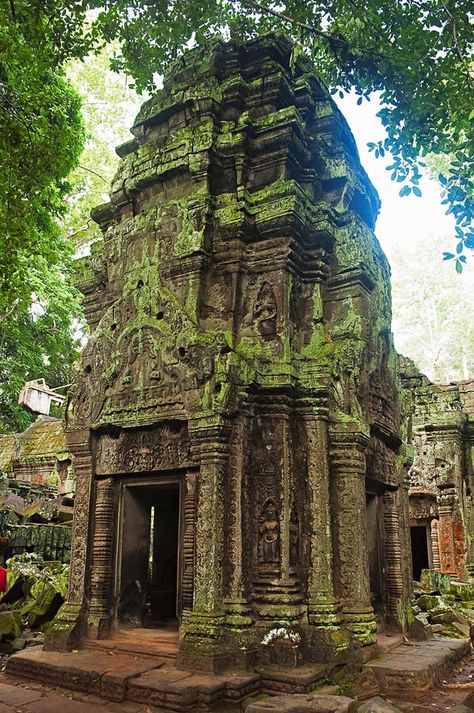 One of the Temple in Ta Prohm, Angkor, Cambodia. Jungle Temple with Massive Trees Growing Out of Its Walls Stock Photo - Image of place, prohm: 111379610 Indonesian Temple, Cambodia Temple, Ta Prohm Temple, Jungle Temple, Ta Prohm, Temple India, Angkor Wat Temple, Temple Ruins, Ancient Temple