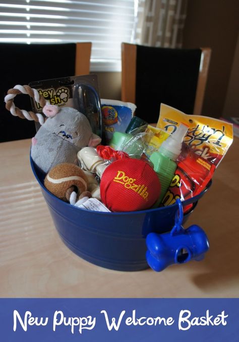 New Puppy Welcome Basket - DolledUpDesign White Lab Puppy, Puppy Gift Basket, Dog Care Package, White Lab Puppies, Pet Gift Basket, Dog Gift Basket, Silent Auction Baskets, Welcome Basket, Welcome Baskets