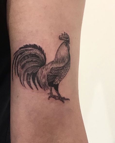 Holly Tattoo, Hen Tattoo, Rooster Tattoo, Tattoo T, Le Tattoo, Inner Bicep Tattoo, Garden Tattoos, Black White Tattoos, Tattoos For Women Flowers