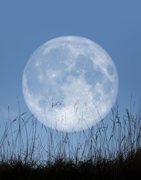 Bright Blue Aesthetic, Fool Moon, Moon In Blue Sky, Pale Moon, Blue Moon Photography, Moon Photography, Beautiful Moon, Natural Earth, Moon Child